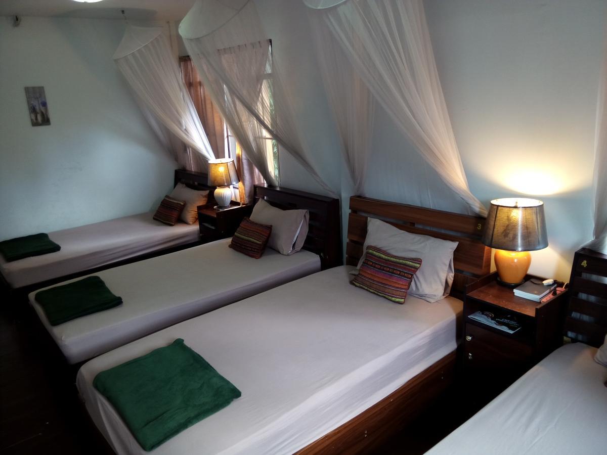 Twin House @ Tapae Hostal *
