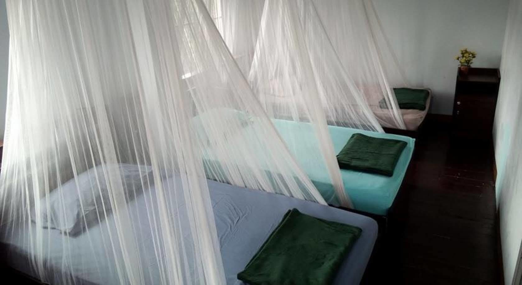 Twin House @ Tapae Hostel Chiang Mai
