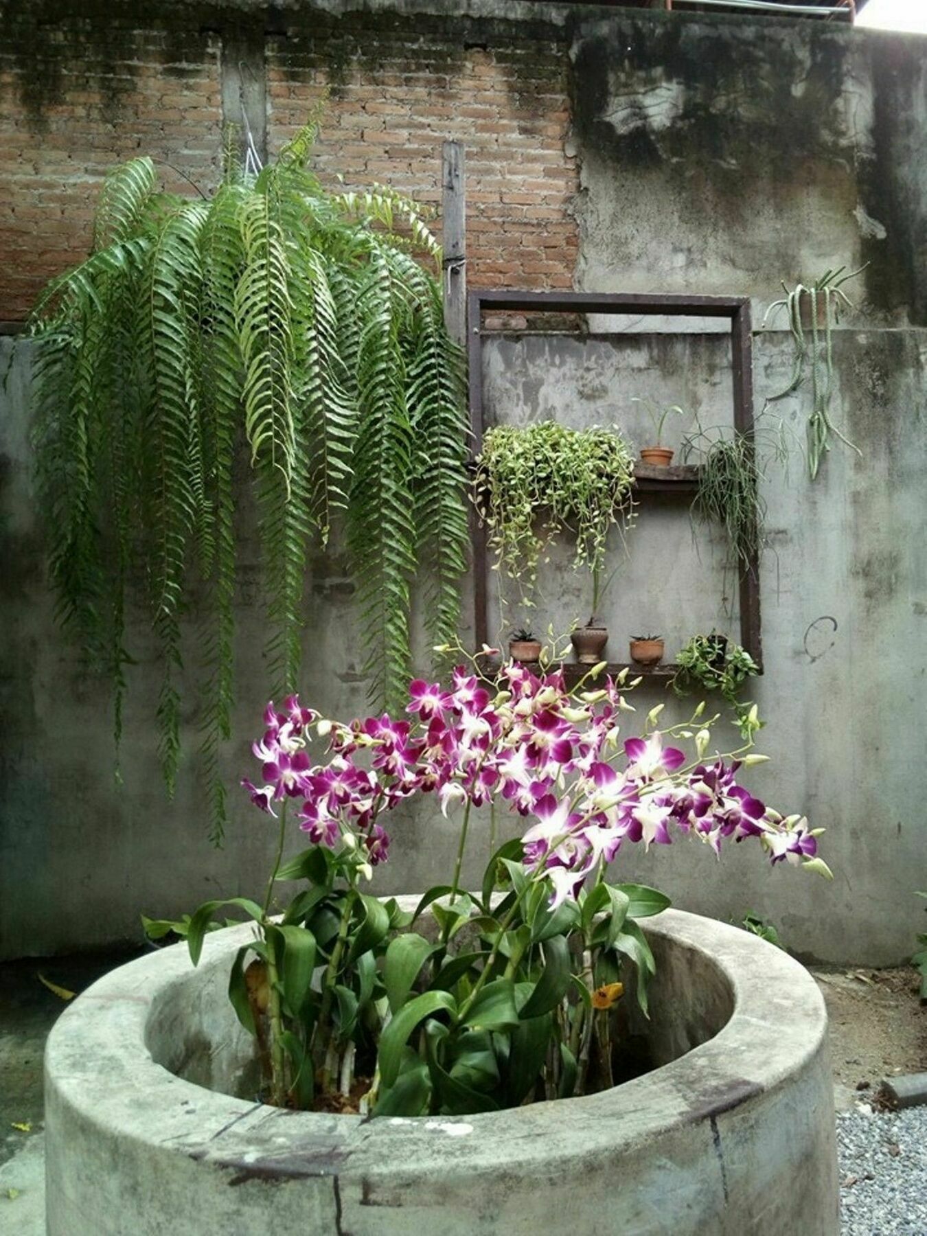 Twin House @ Tapae Hostel *